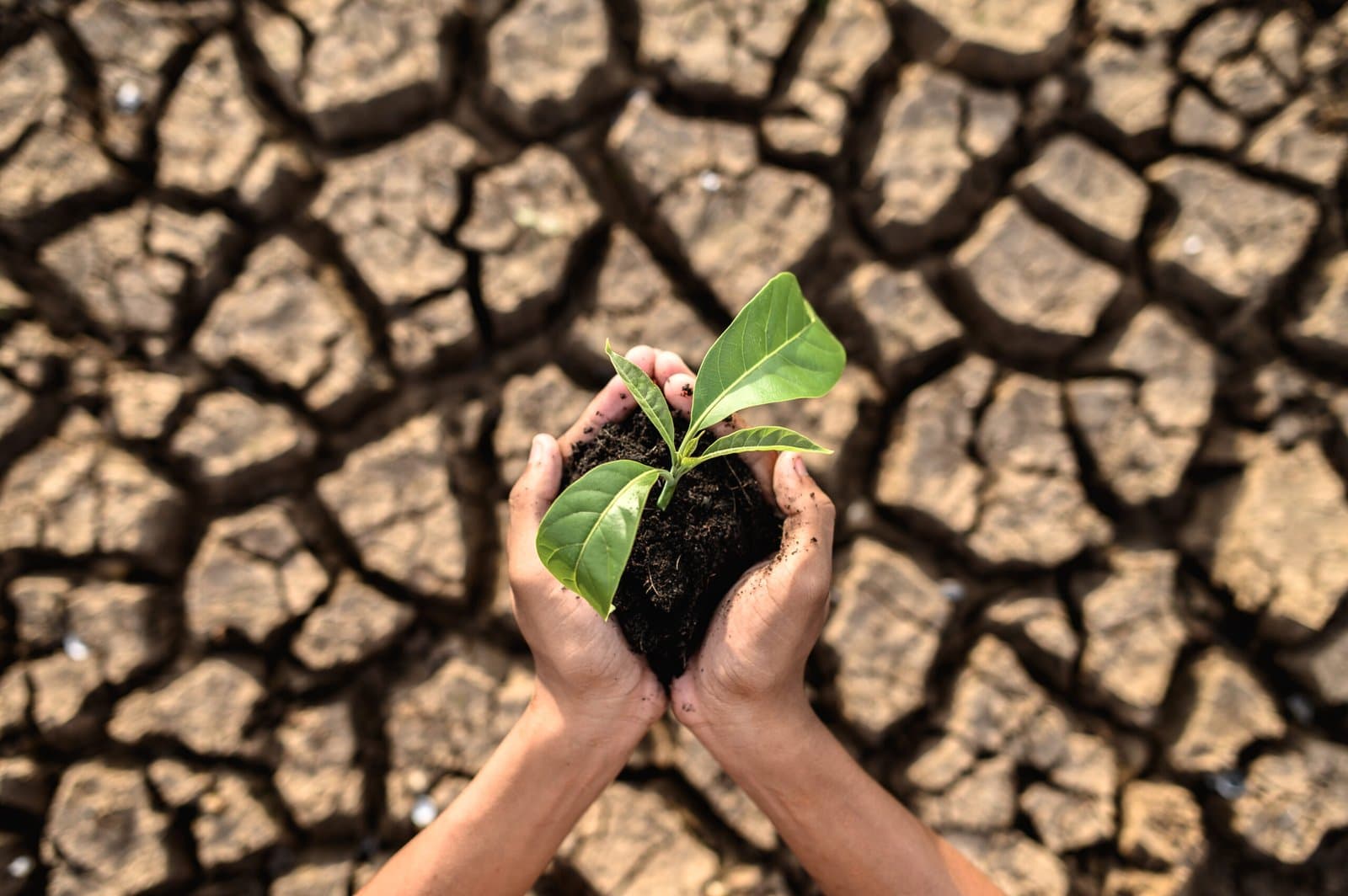 2023 Set to Become the Warmest Year on Record