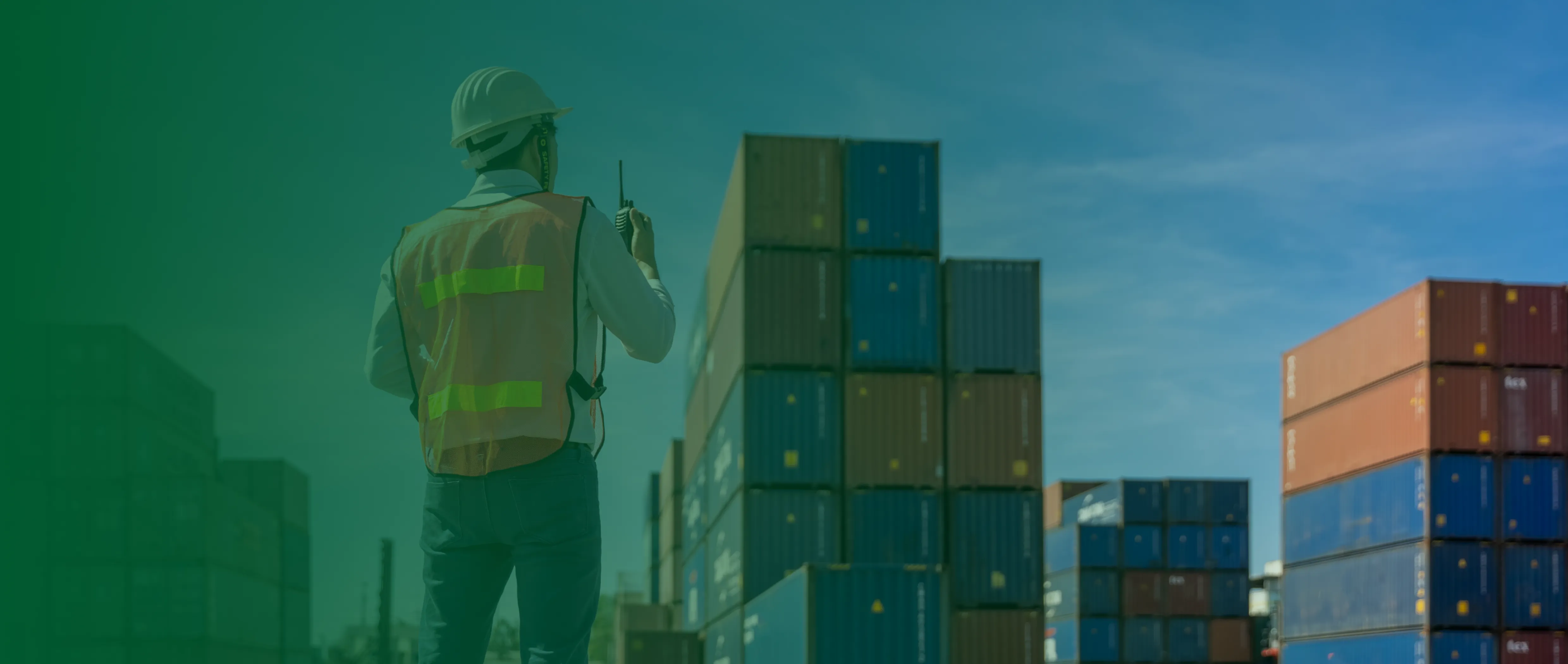 Optimized Logistics and Distribution Networks