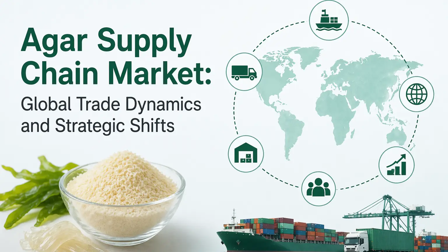 Agar Supply Chain Market: Global Trade Dynamics and Strategic Shifts
