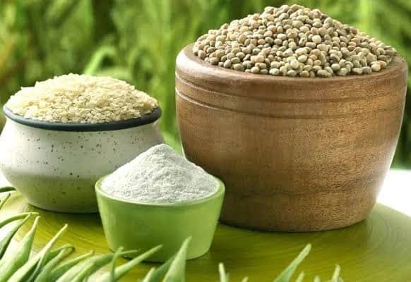রাজস্থান গুয়ার ফসল: এক সপ্তাহে রোপণ বুদ্ধি