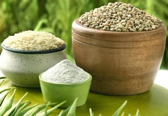 রাজস্থান গুয়ার ফসল: এক সপ্তাহে রোপণ বুদ্ধি