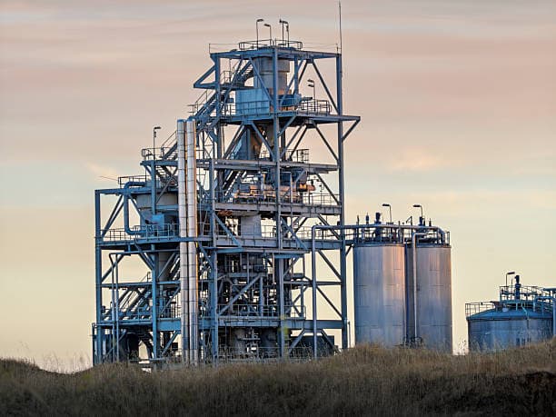 Ethanol's Double Life: Fueling Flights or Brewing Beverages
