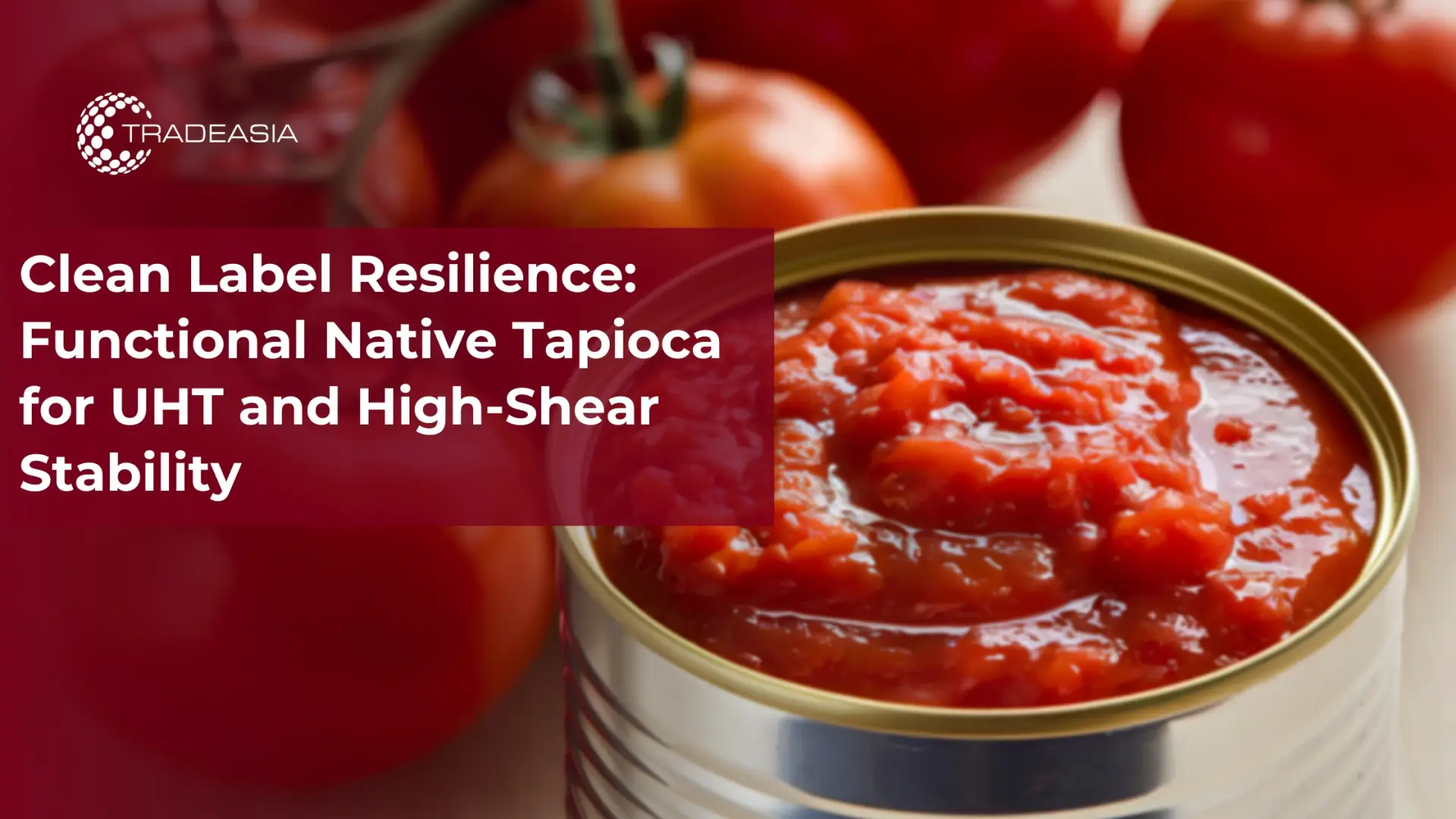 Functional Native Tapioca for UHT and High-Shear Stability