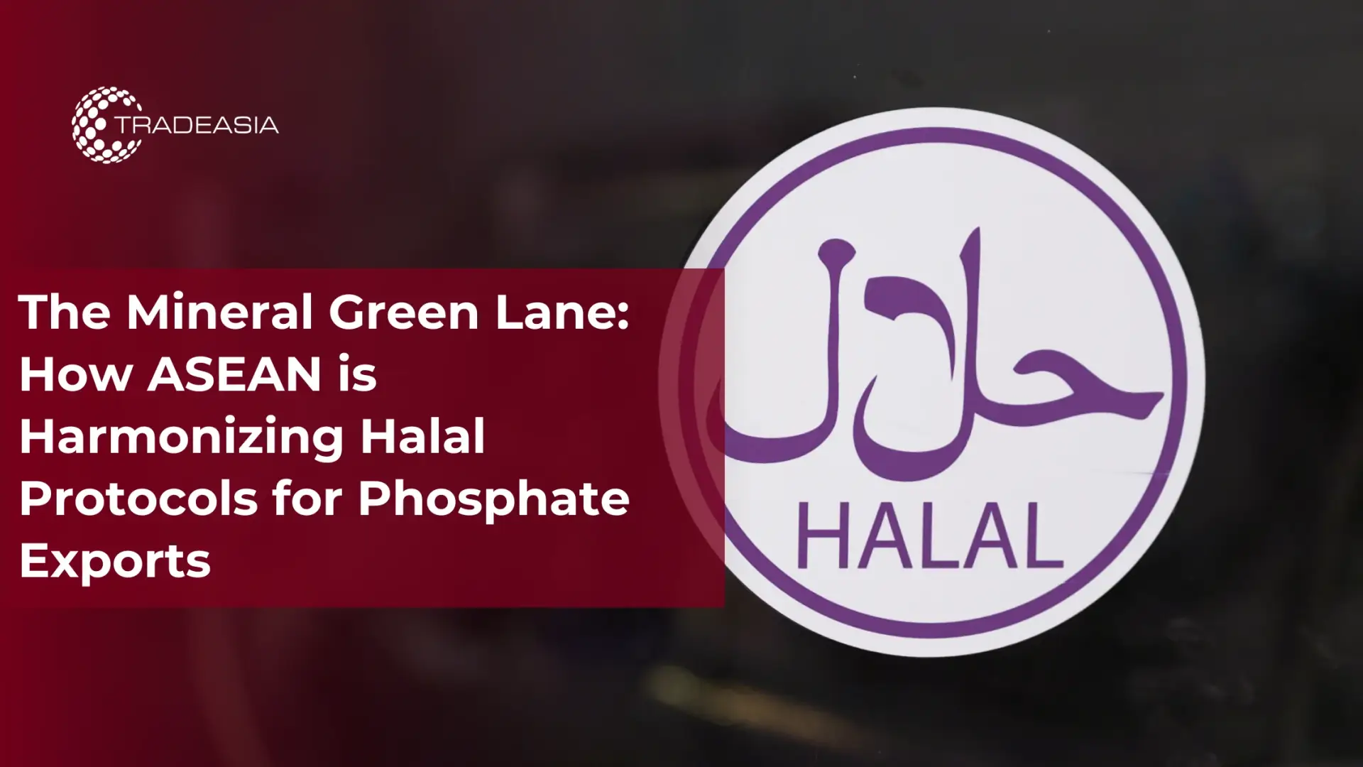 How Will ASEAN Halal Harmonization Impact Phosphate Additives?