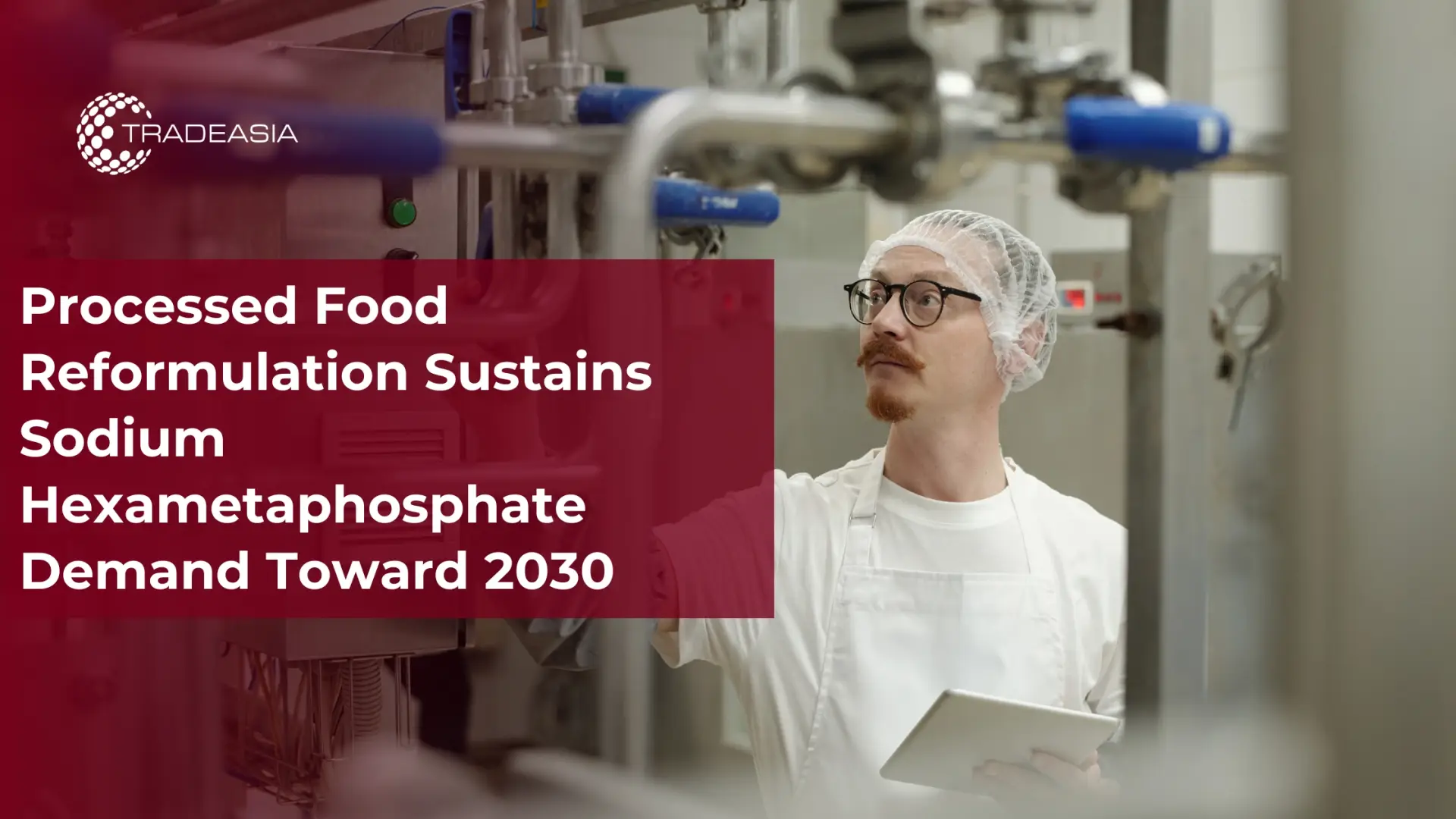 Processed Food Reformulation Sustains Sodium Hexametaphosphate Demand Toward 2030