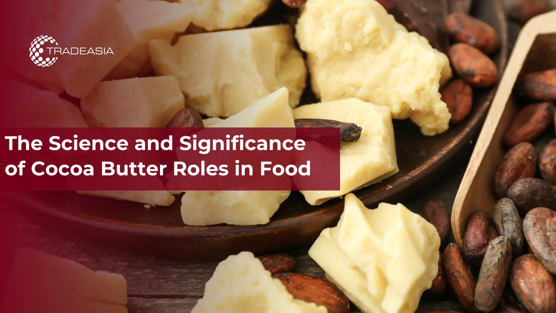 The Science and Significance of Cocoa Butter Roles in Food