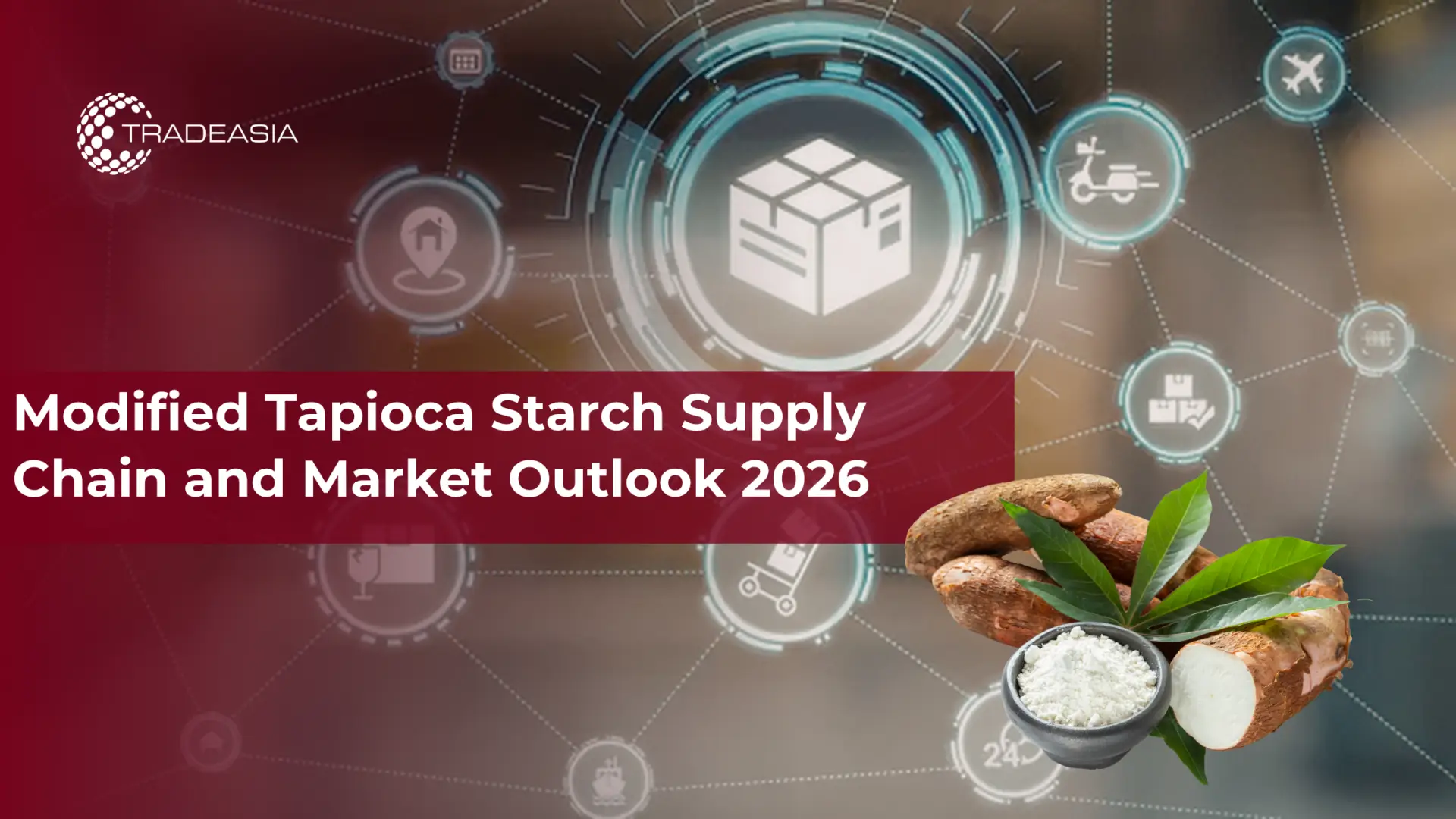 Modified Tapioca Starch Supply Chain and Market Outlook 2026