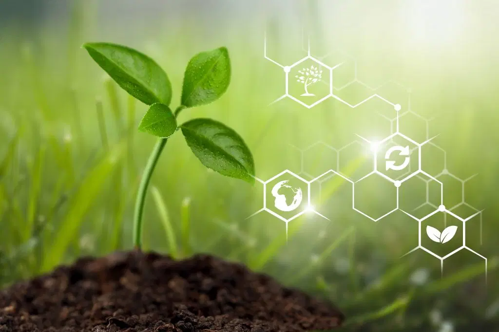 BioFuels