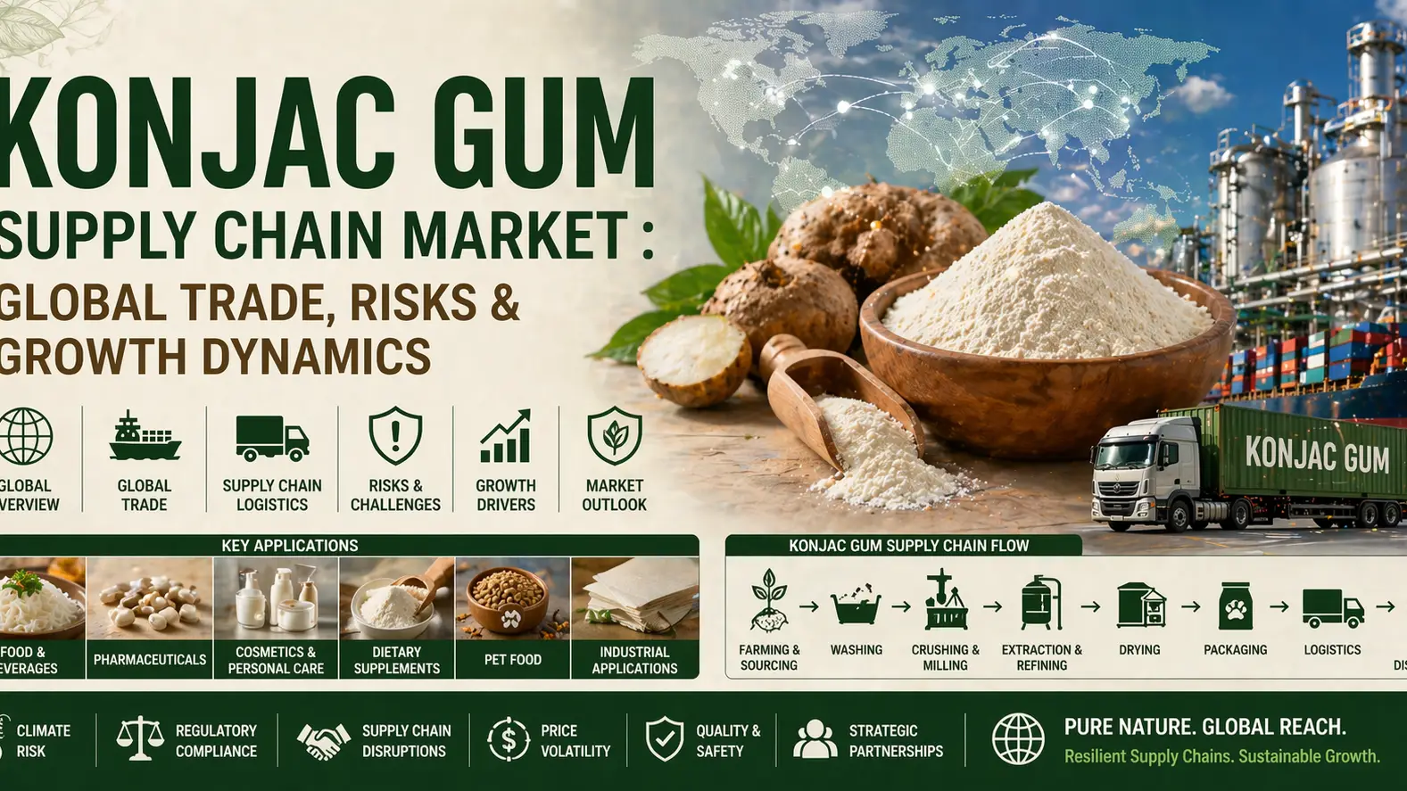 কনজাক গাম সাপ্লাই চেইন মার্কেট: গ্লোবাল ট্রেড, ঝুঁকি এবং বৃদ্ধি